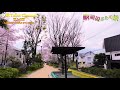 【京王線】桜上水駅の周辺をぶらり旅 travel around sakurajyosui station