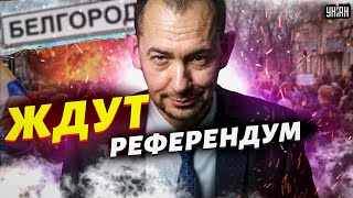 Белгород ждет референдум, в Госдуме наехали на Путина - Цимбалюк объяснил