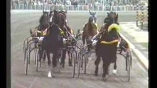 Elitloppet 1980 - Ideal du Gazeau / Eugene Lefévre