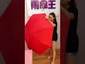 雨傘王「bigred 運動男仕傘」 芷瑜