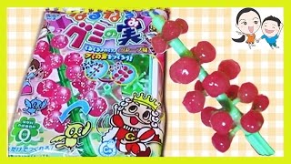 【クラシエ知育菓子、ふしぎはっけんシリーズ】なるなるグミの実 グレープ味 ／ Kracie educational confectionery