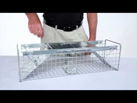 How to Set: Havahart® Medium 2-Door Trap Model #1030 for Mink, Large Squirrels & Rabbits How to Set: Havahart® Medium 2-Door Trap Model #1030 for Mink, Large Squirrels & Rabbits