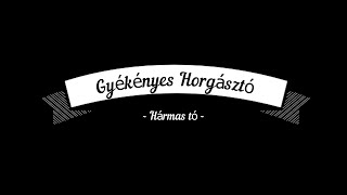 Gyékényes Horgásztó - 3-as Tó