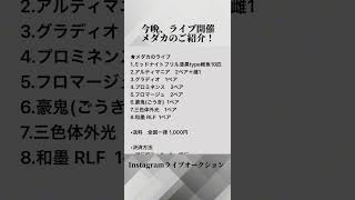 11/10 20時〜★メダカのライブオークション★Instagramでライブ配信