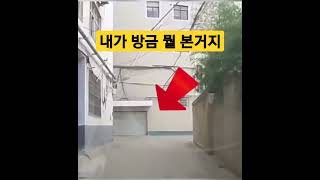 내가 방금 뭘 본거야 ㄷㄷㄷ #shorts