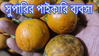 সুপারির পাইকারি বাজার লক্ষ্মীপুর ।। পাইকারি সুপারি কিনে ব্যবসা করুন।।