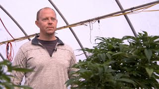 Fillmore hemp business owner claims wrongful DUI arrest, UHP stands by decision