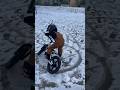 E-Bike Snow Donuts