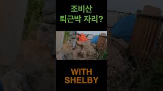 칼퇴 후, 산 정상에 오르면 비박 자리가 있을까? [조비산-용인]