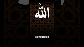 古兰经注释（故事章）#kuran #古兰经 #allah #穆罕默德 #islam #伊斯兰