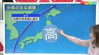 【気象予報士が解説】10日は大気不安定 急な強い雨や落雷･ヒョウ･竜巻などの激しい突風に注意　スーパーJにいがた10月9日OA