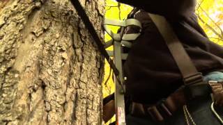 Climbing Twisted Trees - Chad Ritter - Mossy Oak