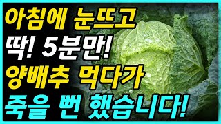 95%가 모르는 양배추의 위험성!