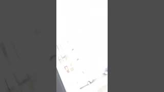 Primeiro Vidio Da Mariana