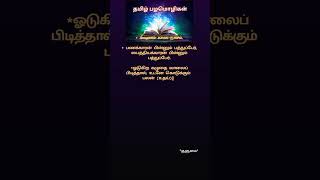 தமிழ் பழமொழிகள்#ஷார்ட்ஸ்#shortsfeed#பழமொழி#proverbs#shorts#information#@Poetkulumai