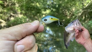 Small Crankbait Fishing! Googan Baits Banger MINI! Does It Catch Bass? Is It a Good Creek Lure?