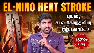 HeatWave கோரத்தாண்டவம் | El-nino வேலையை காண்பிக்கிறது | மக்களே உஷார் | Tamil | TP