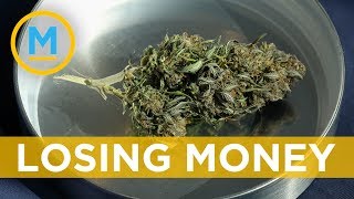 Two major cannabis companies report losses and they might not be the last ones | Your Morning