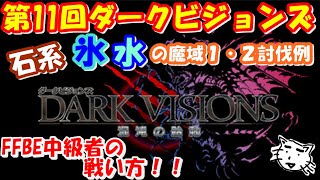 【FFBE】第１１回ダークビジョンズ、氷・水の魔域。石系エリア。ダークストーンゴーレム、闇の石像獣戦！！FFBE中級者の戦い方、魔法アタッカーいないけど頑張るぞ(ﾟ∀ﾟ)氷で攻略！！