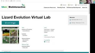 Lizard Virtual Lab instructions