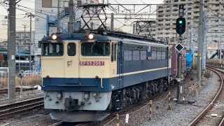 【約３時間２０分遅れ・新鶴見桃運用をPFが代走！】国鉄EF65形2087号機＋コキ20B（両）が大船駅を通過するシーン（3071レ・新A274・コンテナ輸送）2024.12.5