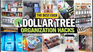 50 Dollar Tree Organization Ideas That Actually Work (Get Organized in 5 minutes)