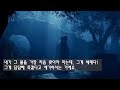 영상클립 002｜그리스도인의 고난 ｜서울 서머나 교회 ｜김성수 목사