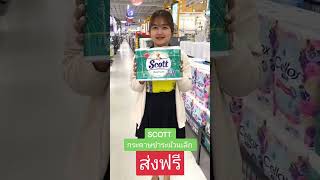 SCOTT กระดาษชำระม้วนเล็ก รุ่น คลีนแคร์ สีเขียว  #localfurniture