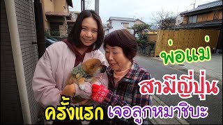 ลูกหมาชิบะเจอพ่อแม่สามีญี่ปุ่นครั้งแรก Shibainu Puppy || หมาชิบะ หน้ายิ้ม EP10