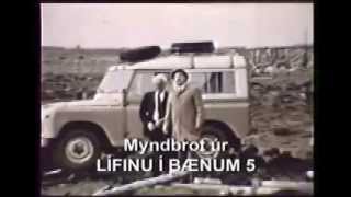 Lífið í bænum 5 - Myndbrot