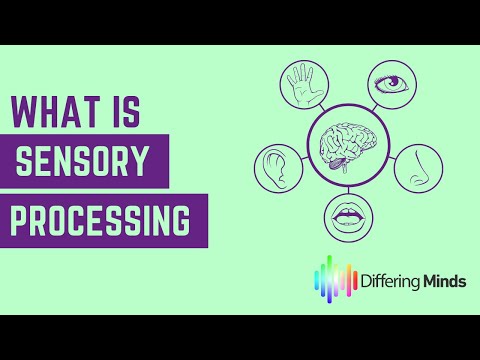 What is sensory interaction give an example?
