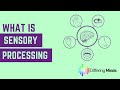 What is Sensory Processing?