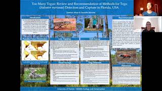 Methods for Tegu Detection and Capture in Florida