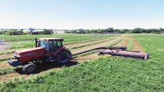 We are SWATHING in REAL LIFE | RL Farming