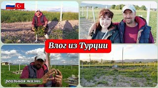 Влог из Турции/поехали в огород/всё растёт 🤗/душа радуется🥰/поработали на славу 💪/реальная жизнь