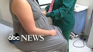 Pfizer to study effects of vaccine in pregnant women