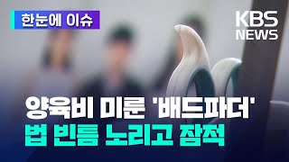 13년 간 15번 소송해도 양육비 안준 전남편...법 빈틈에 숨는 '배드 파더' [한눈에 이슈] / KBS 2023.06.02.