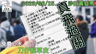 港經佬賽馬貼士及分析｜25-06-2023 沙田黃昏馬真飛過關賽馬貼士｜免費心水及賽馬貼士｜全方位博彩及投資頻道｜足球｜賽馬｜股票｜樓市 #賽馬貼士 #過關