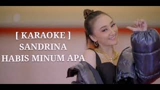 Sandrina - Habis Minum Apa (KARAOKE)