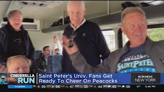 Saint Peter's Peacocks fans on their way to support their team