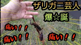 【お魚キラー】外来種駆除の罠を仕掛けたらとんでもない目にあいました