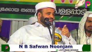 സഫ്‌വാൽ തങ്ങൾ എഴിമല | പള്ളപ്പാടി ശംസുൽ ഉലമാ ഇസ്‌ലാമിക് സെൻറർ | 2-ാം വാർഷികവും മജ് ലിസുന്നൂറും