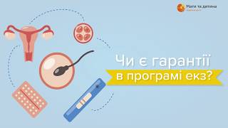 Чи є гарантії в програмі ЕКЗ? Радько Віталій