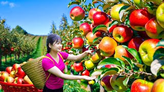 Harvest Rare Mutant Climbing Apples to sell - Unique Traditional Cook Apple Cake Recipe