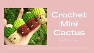 Crochet Mini Cactus Tutorial | Step by Step