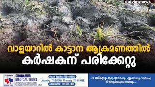 പാലക്കാട് വാളയാറിൽ കാട്ടാന ആക്രമണത്തിൽ കർഷകന് പരിക്കേറ്റു