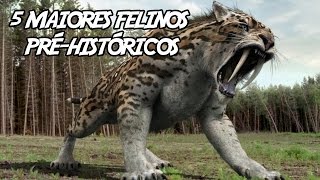 5 Maiores Felinos Pré-Históricos (que já existiram)