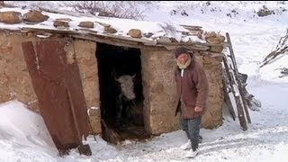 La neige paralyse les Algériens