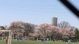 OVER70　サッカー　駒沢