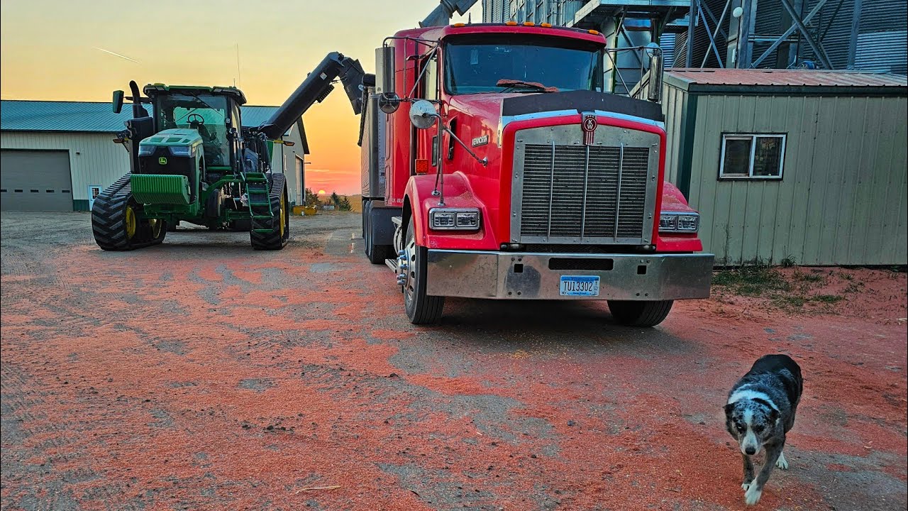 Did We Just Destroy Our Grain Bin Youtube